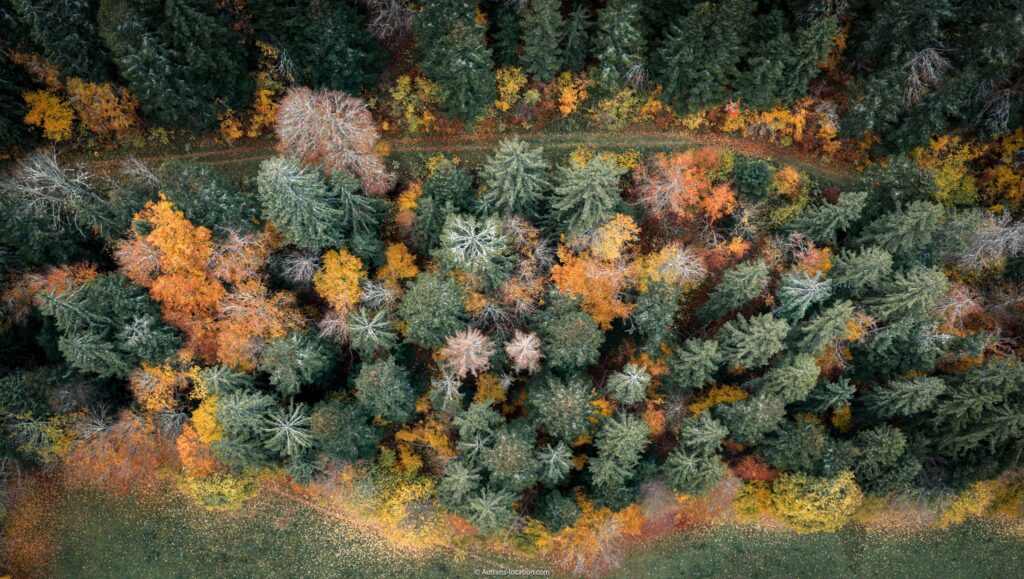 Que faire à Autrans quand les feuilles tombent ?
