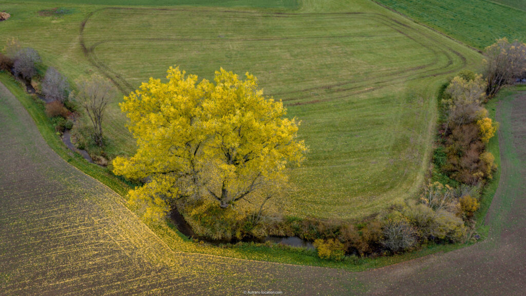 5 raisons de venir à Autrans à l’automne