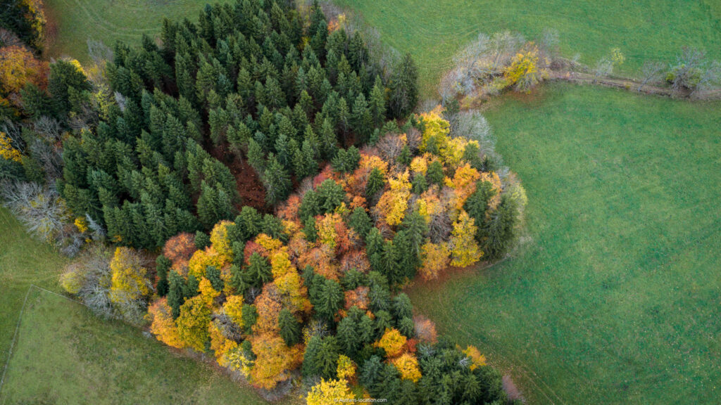 Nos logements pour l’automne : confort, fibre et sérénité à Autrans, porte du Vercors