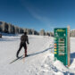 Ski de fond débutant à Autrans : se lancer sereinement